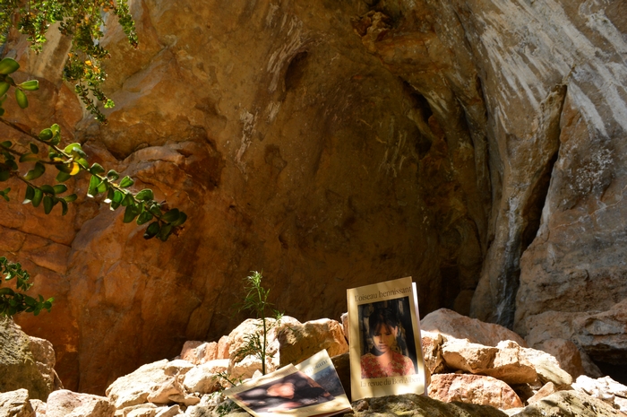 Grotte Saint Firmin - L'oiseau hennissant