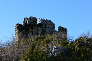 Causse du Larzac, roc du Mérigou
