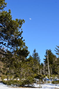 Massif de l'Aigoual