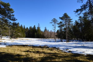 Massif de l'Aigoual - Sources de la Dourbie