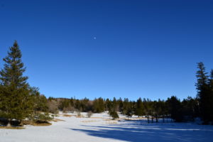 Massif de l'Aigoual