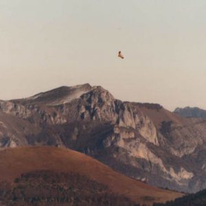 Cap de Pouy de Hourmigué et le pic du Gar - Vue du mont Né