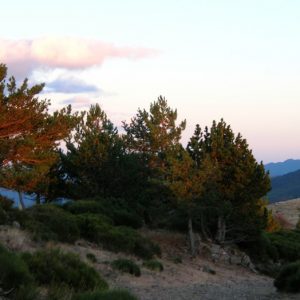 crépuscule, "le Pré de Terron" Mt Aigoual
