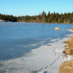 bord du lac des Pises l’hiver