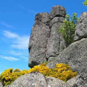 Rocs de Montal "totems" - Mont Lozère