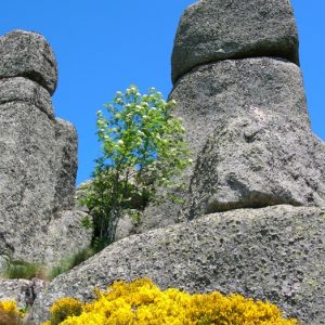 Rocs de Montal "totems" - Mt Lozère