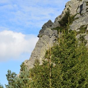 coté nord du Mont Gerbier de Jonc  (au nord de l'Ardèche)
