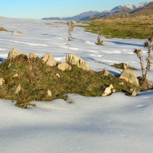 Jardin d’hiver - Composition naturelle, premières neiges d’automne à Serre de mont Cassan (1 850 m)