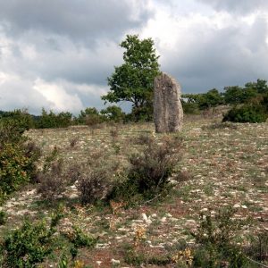 menhir - Causse de Blandas (Gard)