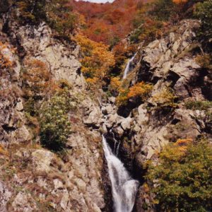 Cascades de l’Hérault - Mont Aigoual ... 