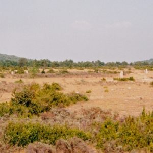 cromlech - Causse de Blandas (Gard)