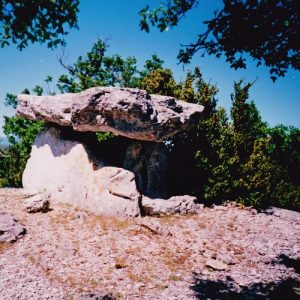 dolmen de Pinarède en 1995 - Causse du Larzac (Hérault)