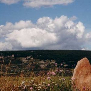 Menhirs de la Cham des Bondons - Situés vers les Laubies, au lieu dit La Terre basse, massif du Lozère