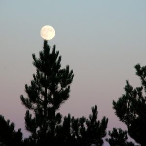 pin crochet "jouant au bilboquet" avec la lune