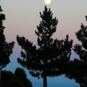 pin crochet "jouant au bilboquet" avec la pleine lune