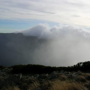 montée de nuages, "Calles de Combe Crose" (Mt Aigoual - flanc sud)