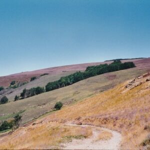 Mont Bougès fin août (versant sud) Cévennes-Lozère