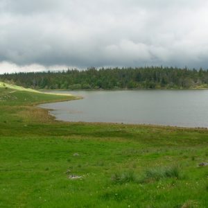 Lac des Pises au printemps (Mt Aigoual)