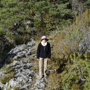 “majesté” du minéral dans les forêts des Grands Causses