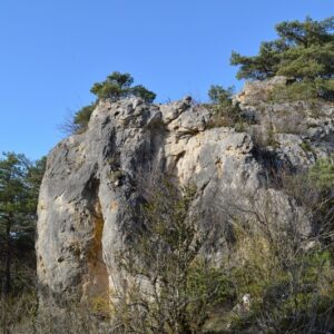 “majesté” du minéral dans les forêts des Grands Causses