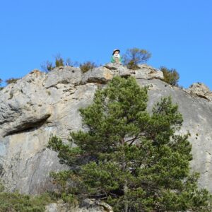 “majesté” du minéral dans les forêts des Grands Causses