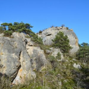 “majesté” du minéral dans les forêts des Grands Causses