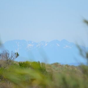 les Pyrénées orientales - Canigou, vu des dunes de Vendres-Plage