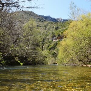 ...la Vis dans ses Gorges vers Navacelles