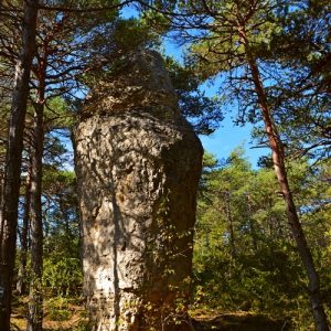 monolithe naturel - vers le "Point Sublime" (Forêt du Causse Noir) 
