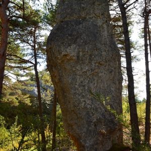 monolithe naturel - Forêt du Causse Noir