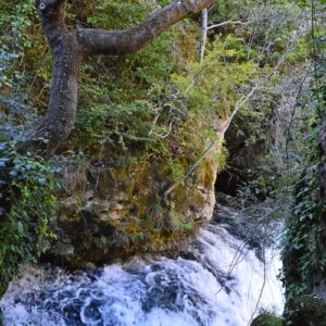 ... la résurgence de la Vis en amont du Cirque de Navacelles, entre le Causse de Blandas et du Larzac