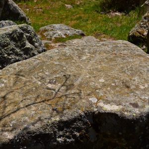 Gravures rupestres au "Rec del Bosc" (Col de la Frajure - Tarn)