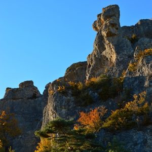 Roquesaltes - Causse Noir, Aveyron