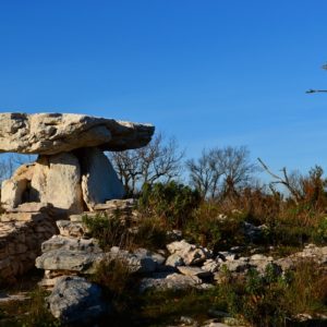 dolmen de la Pinarède (au nord du Causse du Larzac)