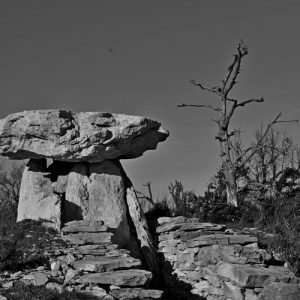 dolmen de la Pinarède (Causse du Larzac)
