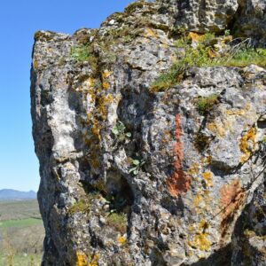  en haut du Mérigou, Causse du Larzac 
