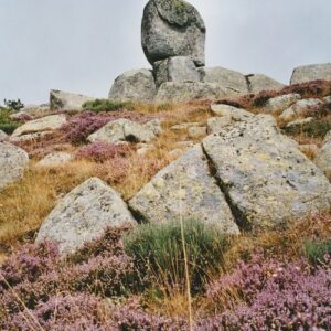 ... en Lozère, Bruyères et granit