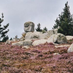 Bruyères et granit - Rocs des Mulets