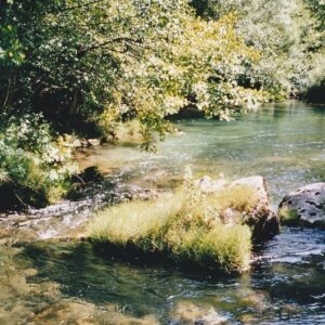 La Vis à Gorniès dans l'Hérault