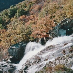 Montlouvier, Cévennes du Massif de l'Aigoual