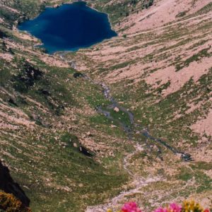 Rhododendrons et lac d’Estom
