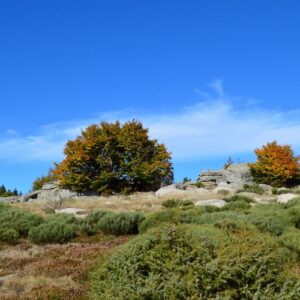 Rochers de Salidou - Massif de l'Aigoual