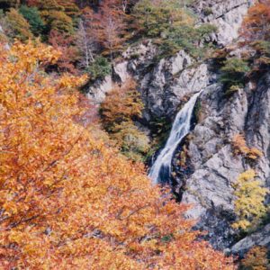 Cascades de l’Hérault