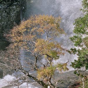 Cascade du Montlouvier - En automne 