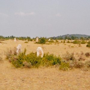 cromlech - Causse de Blandas (Gard)