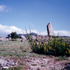 Menhir du col de Bes - Se trouve dans la montagne du Liron, Cévennes du mont Aigoual