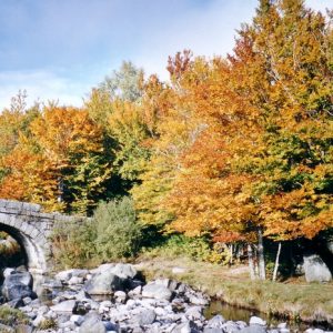 Le Tarn - Au Pont de Mas Camargue