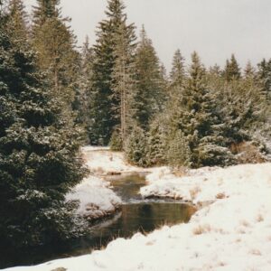 ruisseau du Lingas - Mt Aigoual