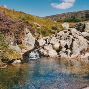 ... vers les sources du Tarn au Mont Lozère en Cévennes