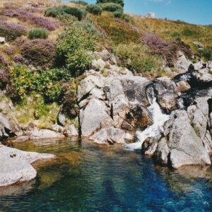 ... vers les sources du Tarn au Mont Lozère en Cévennes